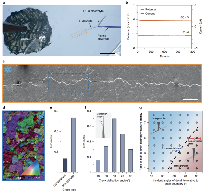 上海交大材料学院轻合金国家工程研究中心刘传来副教授Nature发文：揭示全固态电池锂枝晶生长新机制并实现高性能固态电解质设计