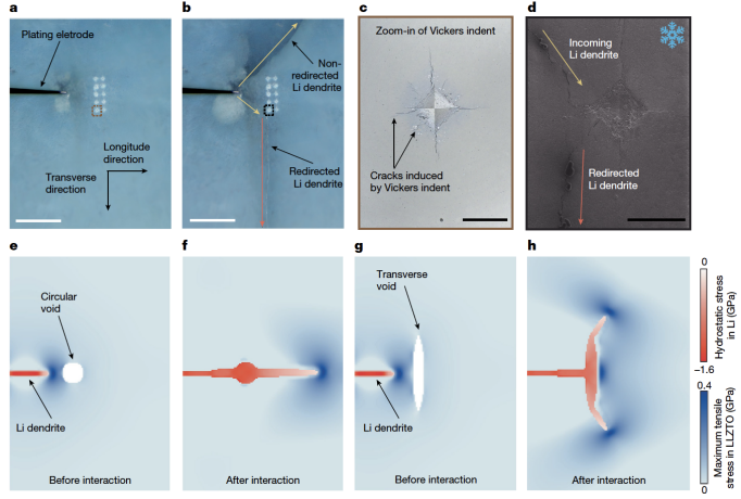 上海交大材料学院轻合金国家工程研究中心刘传来副教授Nature发文：揭示全固态电池锂枝晶生长新机制并实现高性能固态电解质设计
