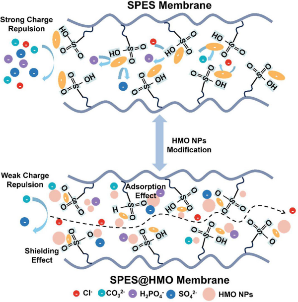 新型氯离子选择性膜研究获进展