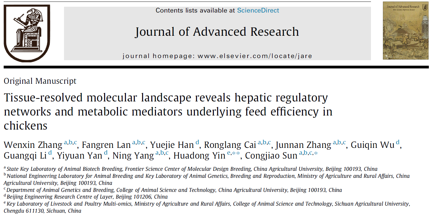 中国农业大学动科学院孙从佼团队揭示延长产蛋期蛋鸡饲料利用率的肝脏中心调控网络及其与脂肪沉积的分子联系