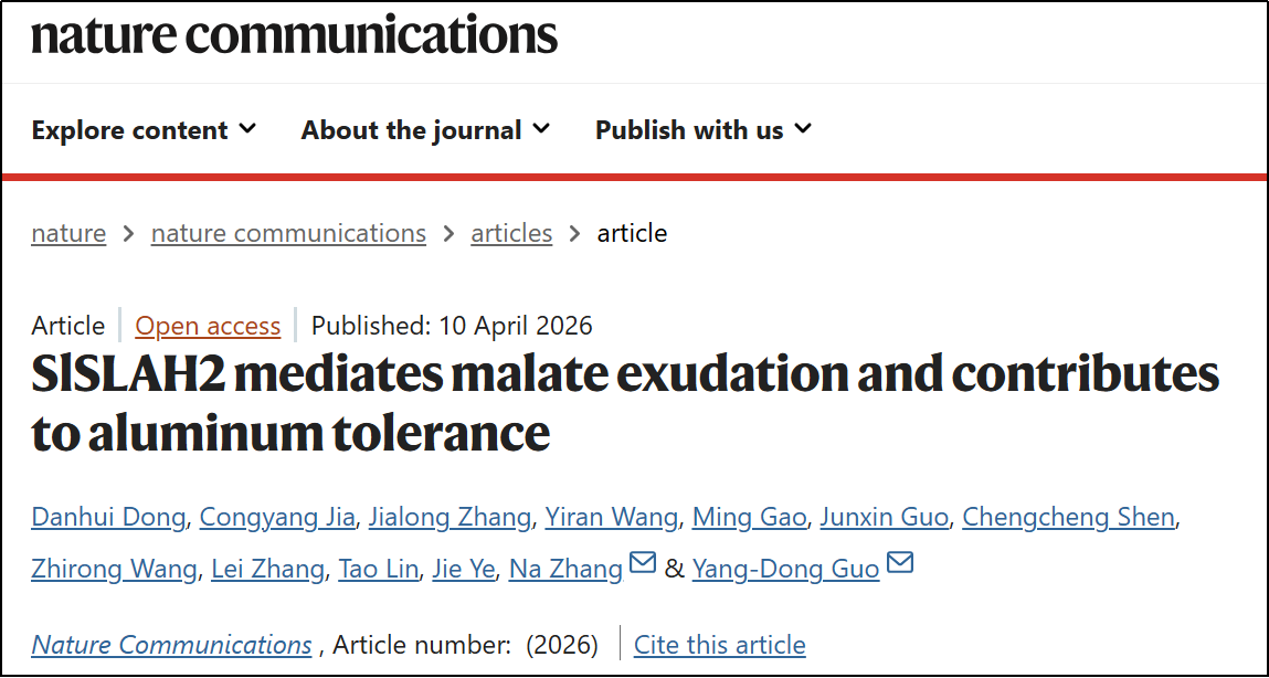中国农业大学园艺学院郭仰东、张娜团队揭示番茄耐受酸铝土壤新机制