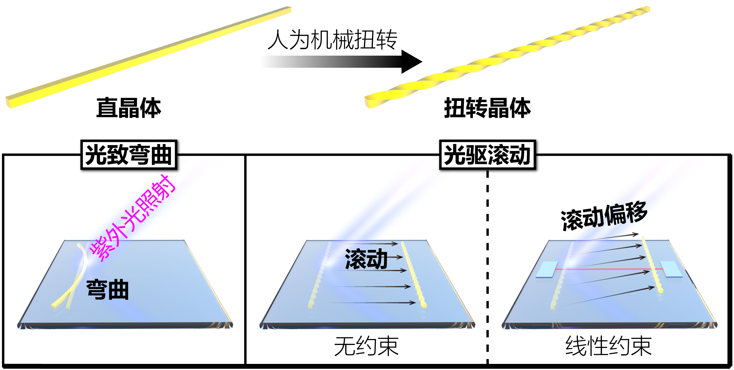 北京大学化学学院宛新华/张洁团队实现扭转晶体的光驱滚动和手性偏向