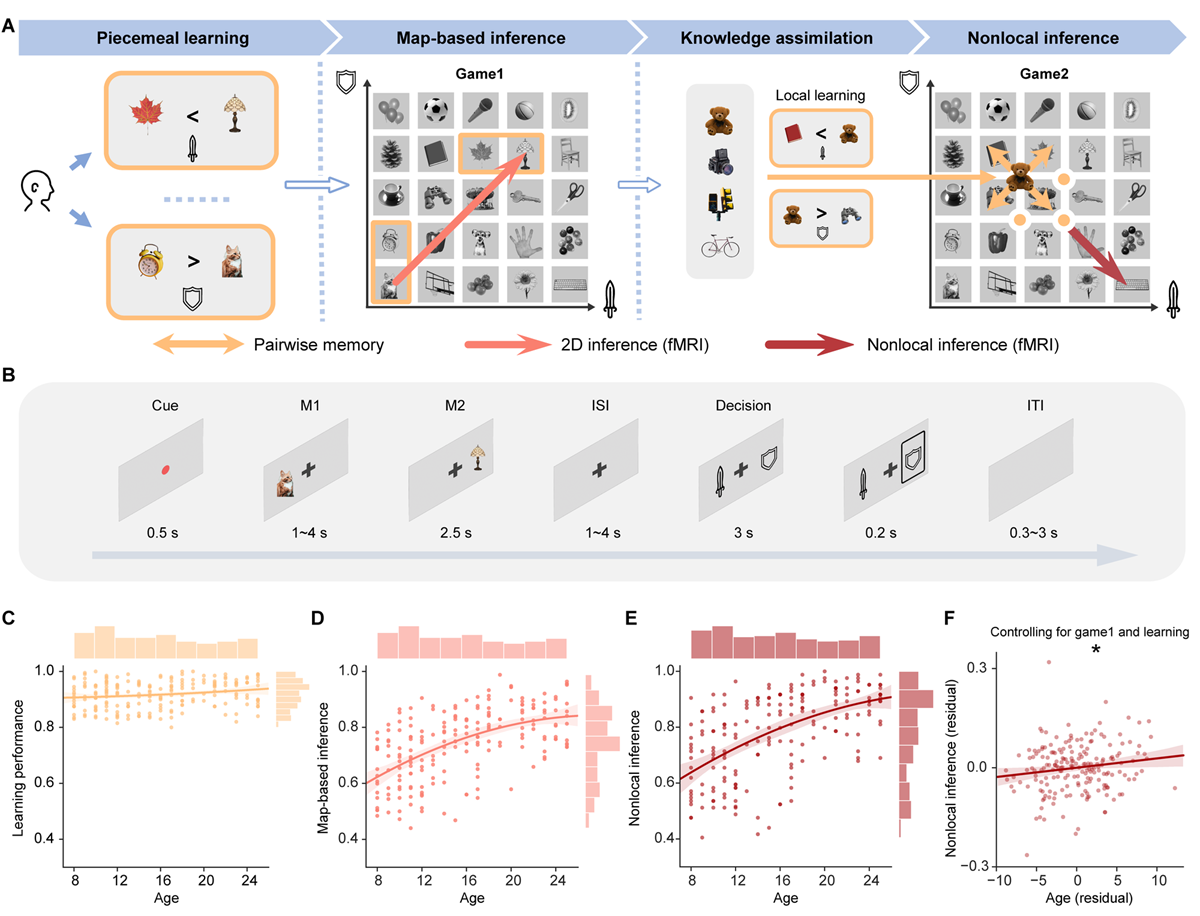 北京师范大学柳昀哲课题组在《细胞》发文：揭示内嗅皮层—类网格编码发育支撑抽象推理能力跃迁的神经机制