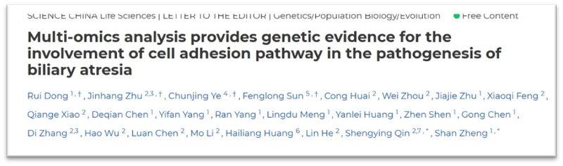 上海交大Bio-X研究院秦胜营团队与合作者揭示细胞黏附通路异常为胆道闭锁核心发病机制