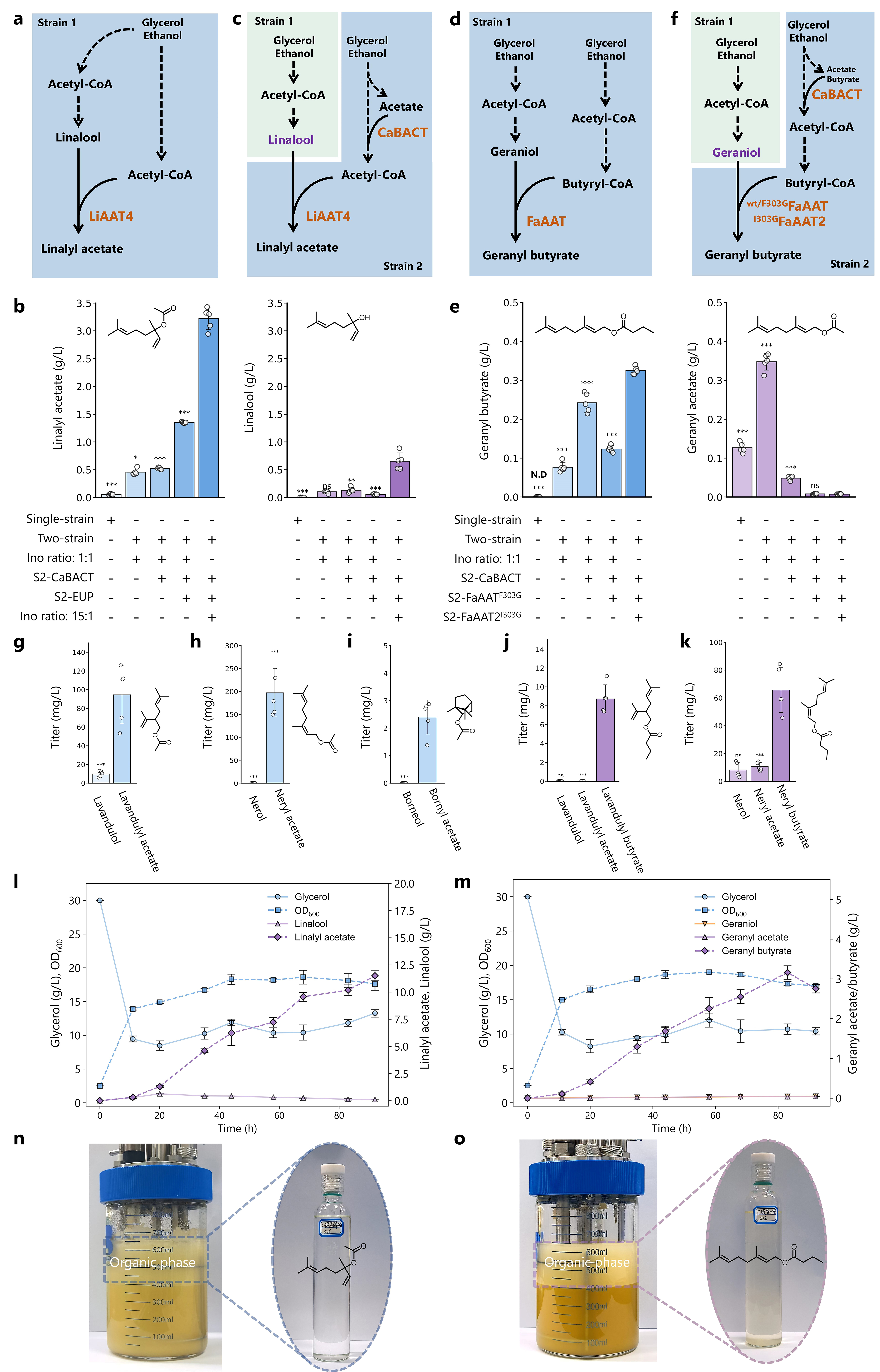 上海交大农生学院马晓强研究组开发微生物单萜酯生物合成平台
