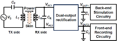 南京大学南京大学团队开发出面向侵入式脑机接口的高能效无线能量接收芯片