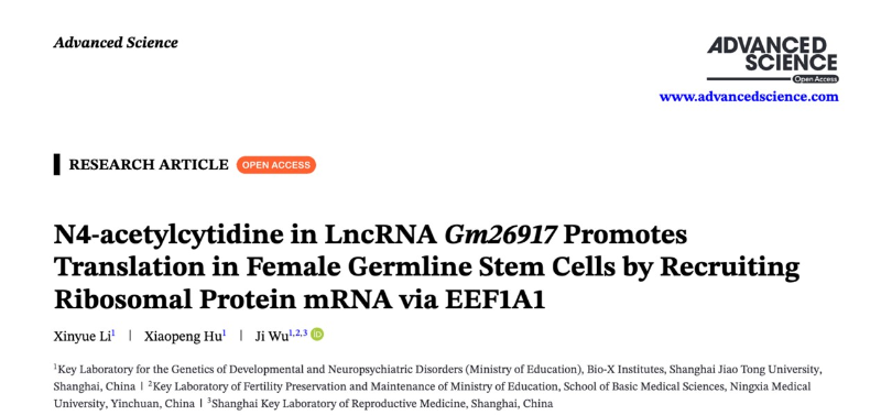 上海交大Bio-X研究院吴际团队首次揭示了一条调控雌性生殖干细胞命运的全新分子机制