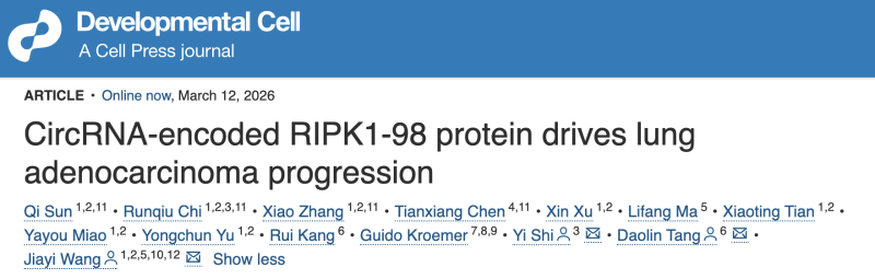 上海交大Bio-X研究院石毅与合作者揭示circRNA编码蛋白促进肺腺癌进展并介导治疗耐药的关键机制