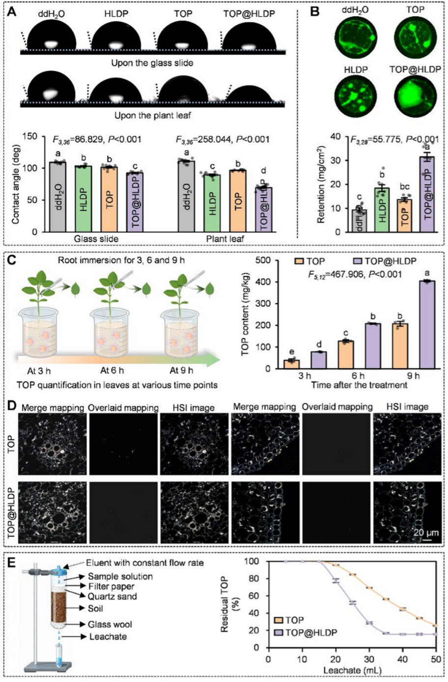 中国农业大学植保学院沈杰、闫硕教授团队博士研究生陈静怡发表论文 制备纳米除草剂并解析其多维协同增效机制
