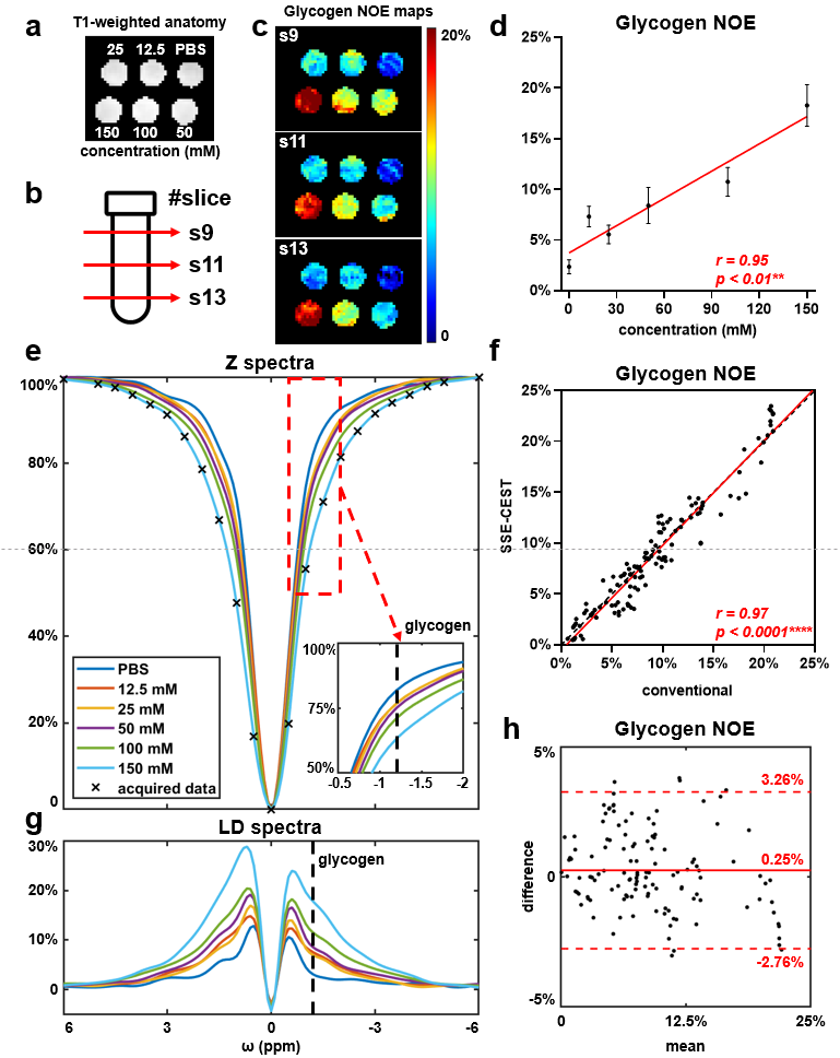 清华大学生医工程学院宋小磊团队合作研发单次屏气腹部3D高清代谢核磁共振成像