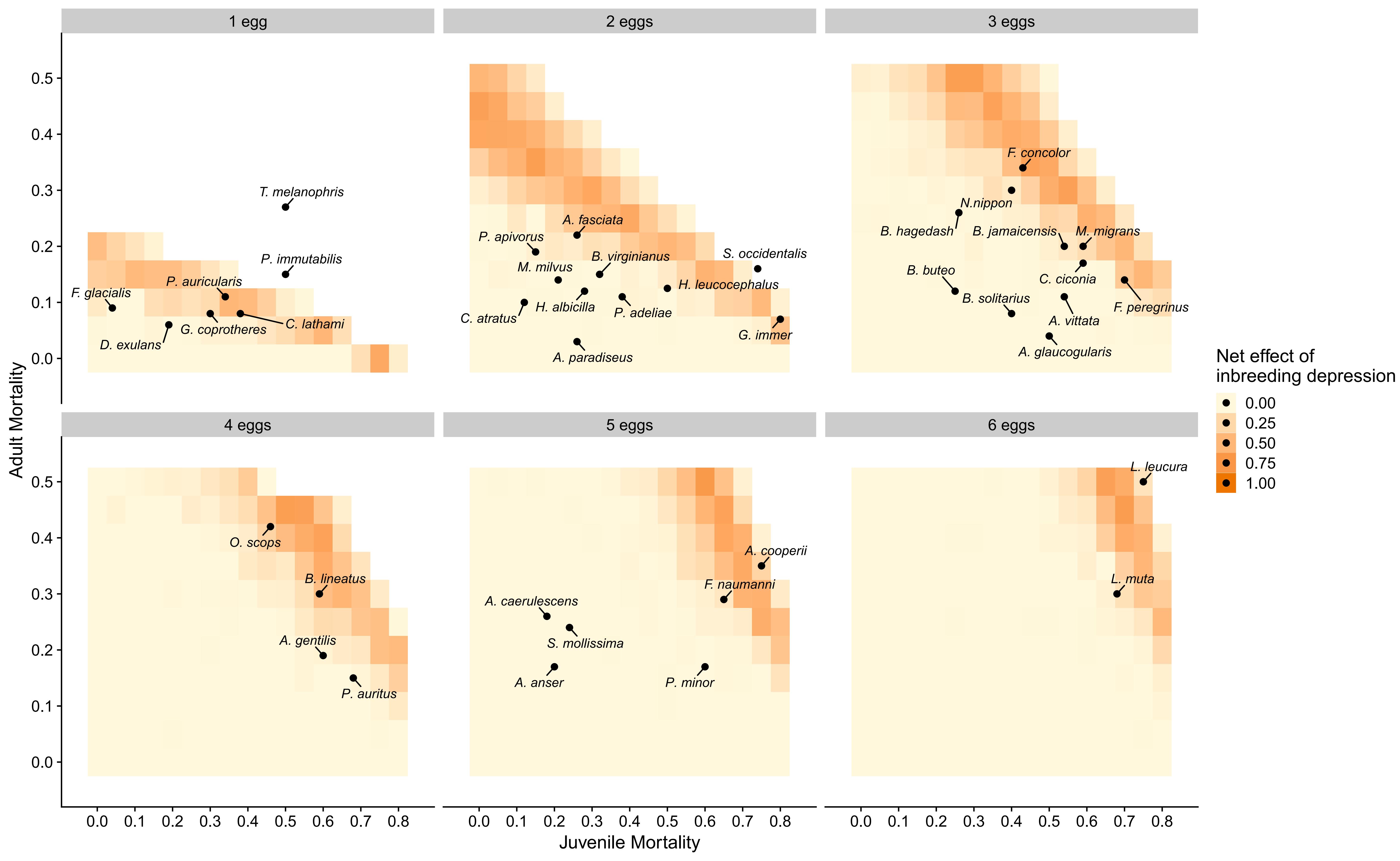 北京师范大学北京师范大学鸟类学研究团队在《自然·通讯》发文