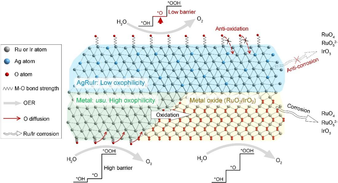 前沿院高传博团队在电解水高效耐久析氧催化剂领域取得重要进展
