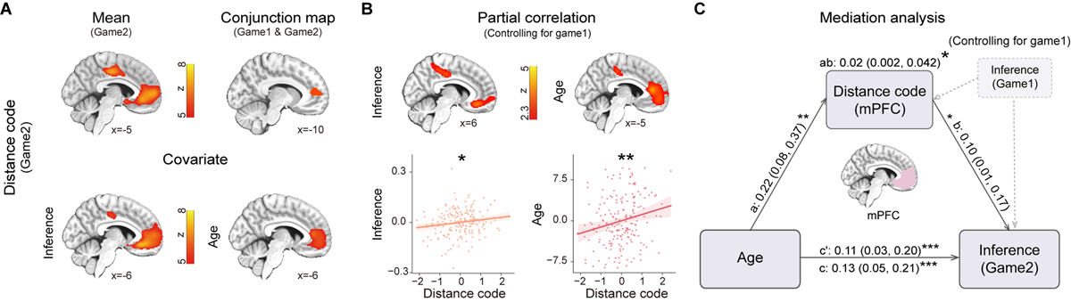北京师范大学柳昀哲课题组在《细胞》发文：揭示内嗅皮层—类网格编码发育支撑抽象推理能力跃迁的神经机制
