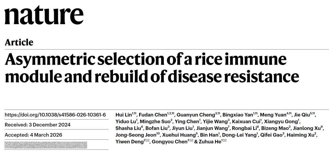 上海交大陈功友团队合作破解水稻免疫驯化选择抗病与产量平衡的新机制