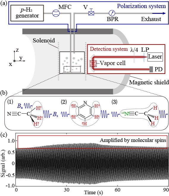 中国科大首次利用超极化分子核自旋实现磁场信号放大