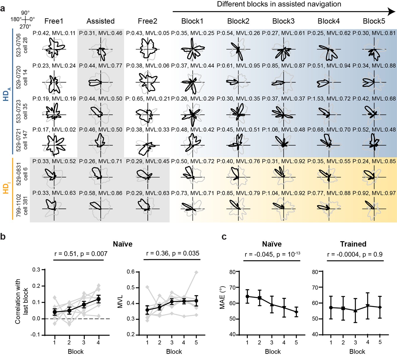 北京大学生命科学学院苗成林研究组揭示行为约束驱动内嗅皮层头向表征重构