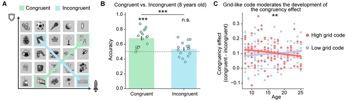 北京师范大学柳昀哲课题组在《细胞》发文：揭示内嗅皮层—类网格编码发育支撑抽象推理能力跃迁的神经机制