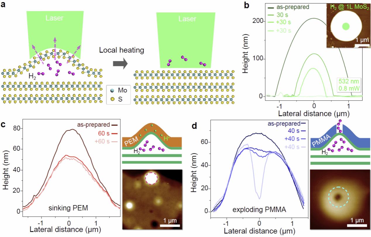 南京大学物理学院高力波、袁国文团队在二维晶体催化渗透氢气领域取得突破