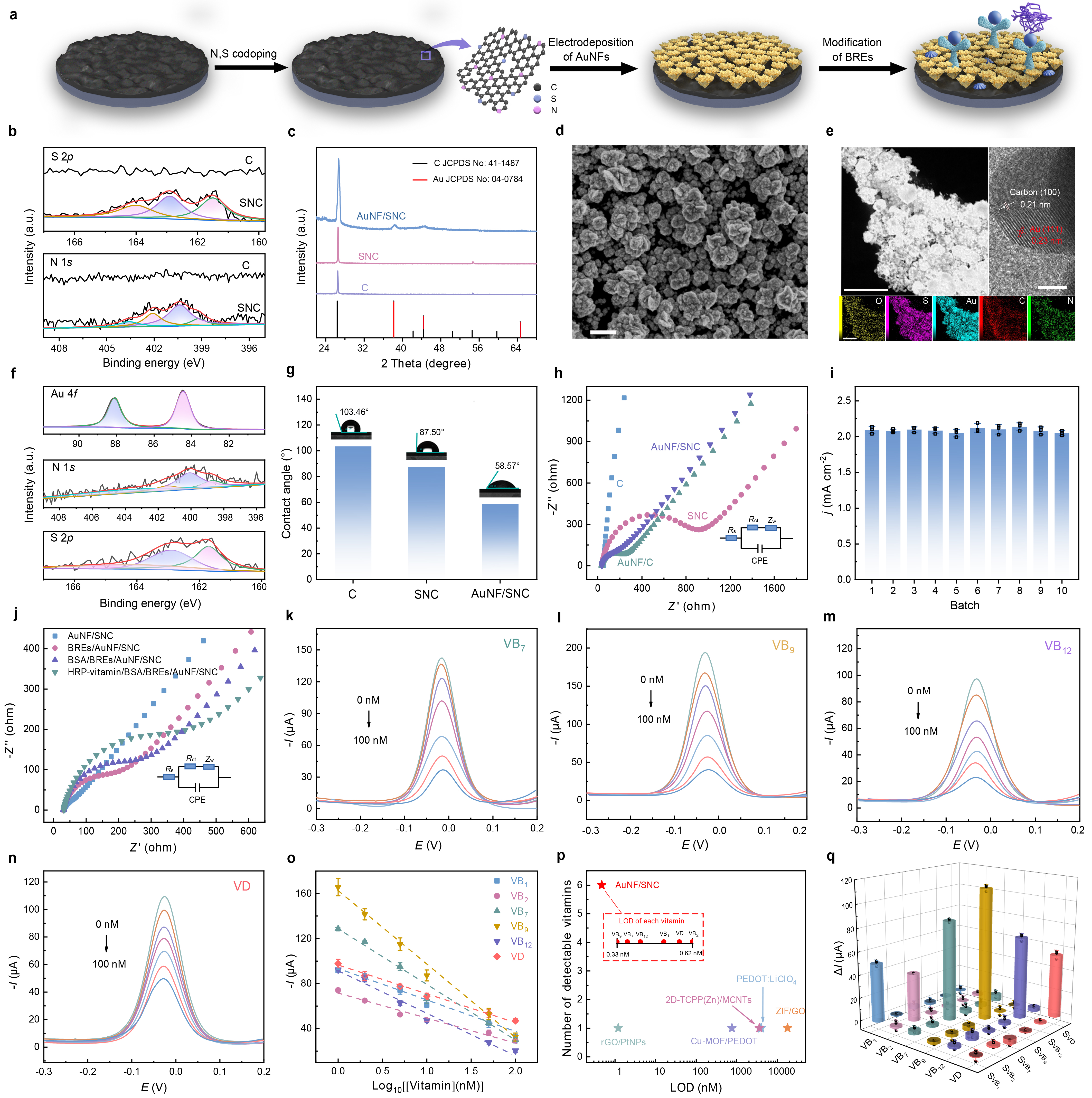 中国农业大学营养与健康系任发政院士团队设计高灵敏汗液可穿戴传感器实现无创实时检测人体维生素水平
