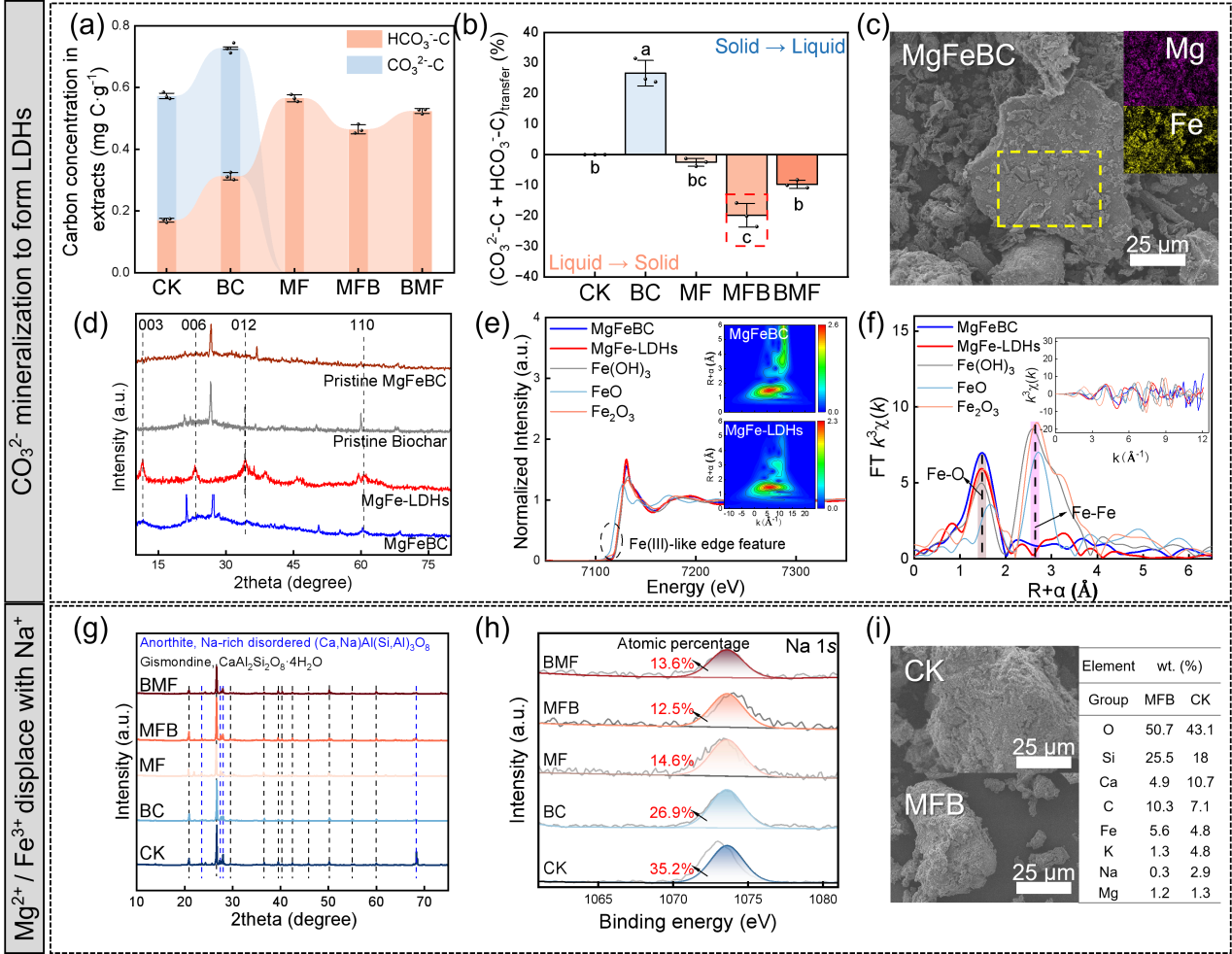 上海交大农生学院陈钦程/沈国清团队与中国科学院南京土壤研究所夏龙龙研究员联合开发盐碱土固盐降碱新技术