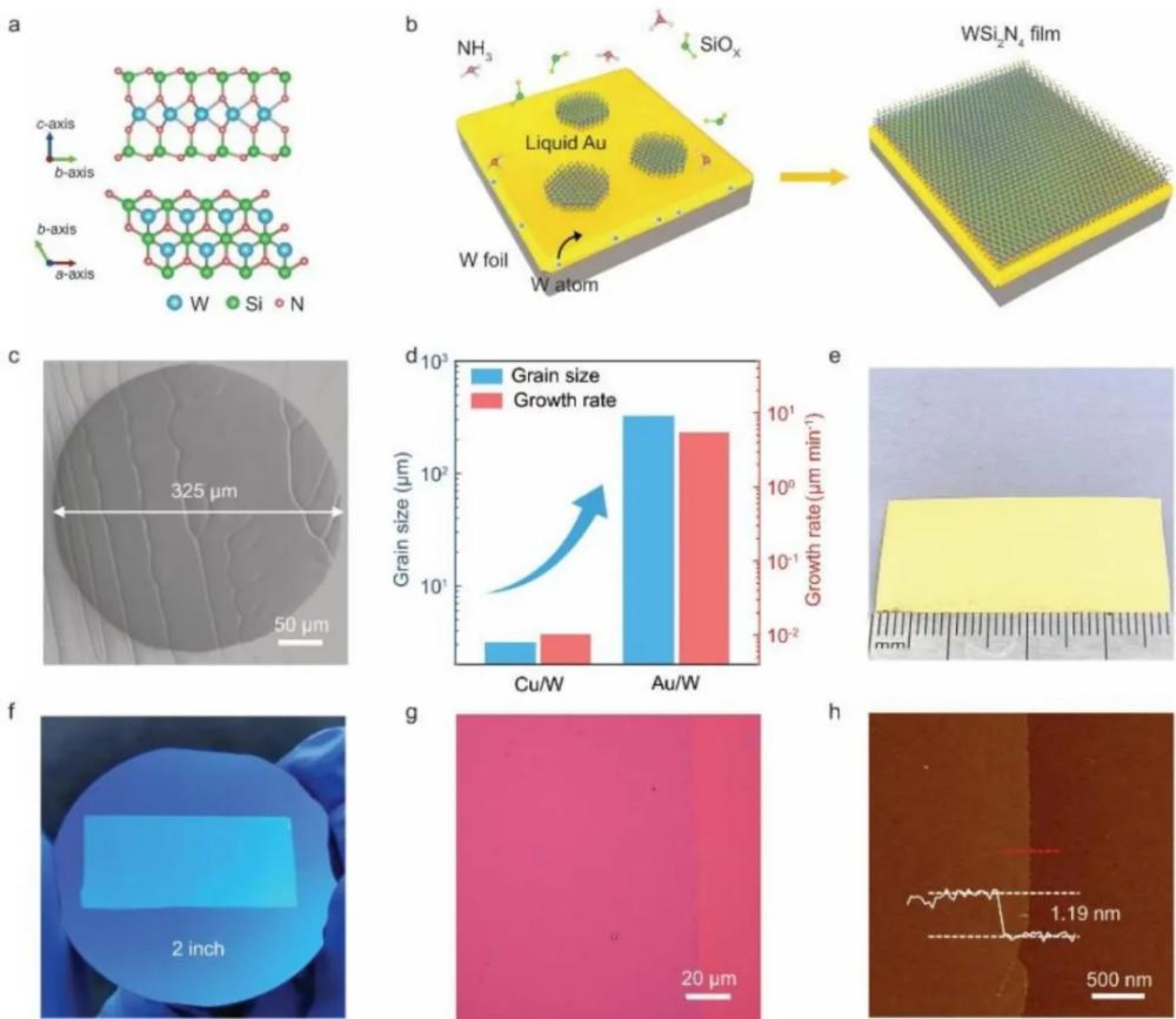 国防科大研究团队在后摩尔芯片技术领域取得重要进展