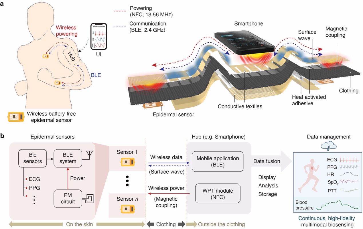 清华大学深圳国际研究生院田曦团队合作研发用于连续收缩压监测的无线无源表皮传感网络