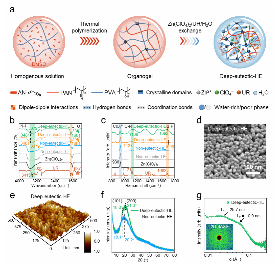 南京大学金钟、李承辉团队：深共晶水凝胶实现“比纸还薄”的宽温域锌碘电池