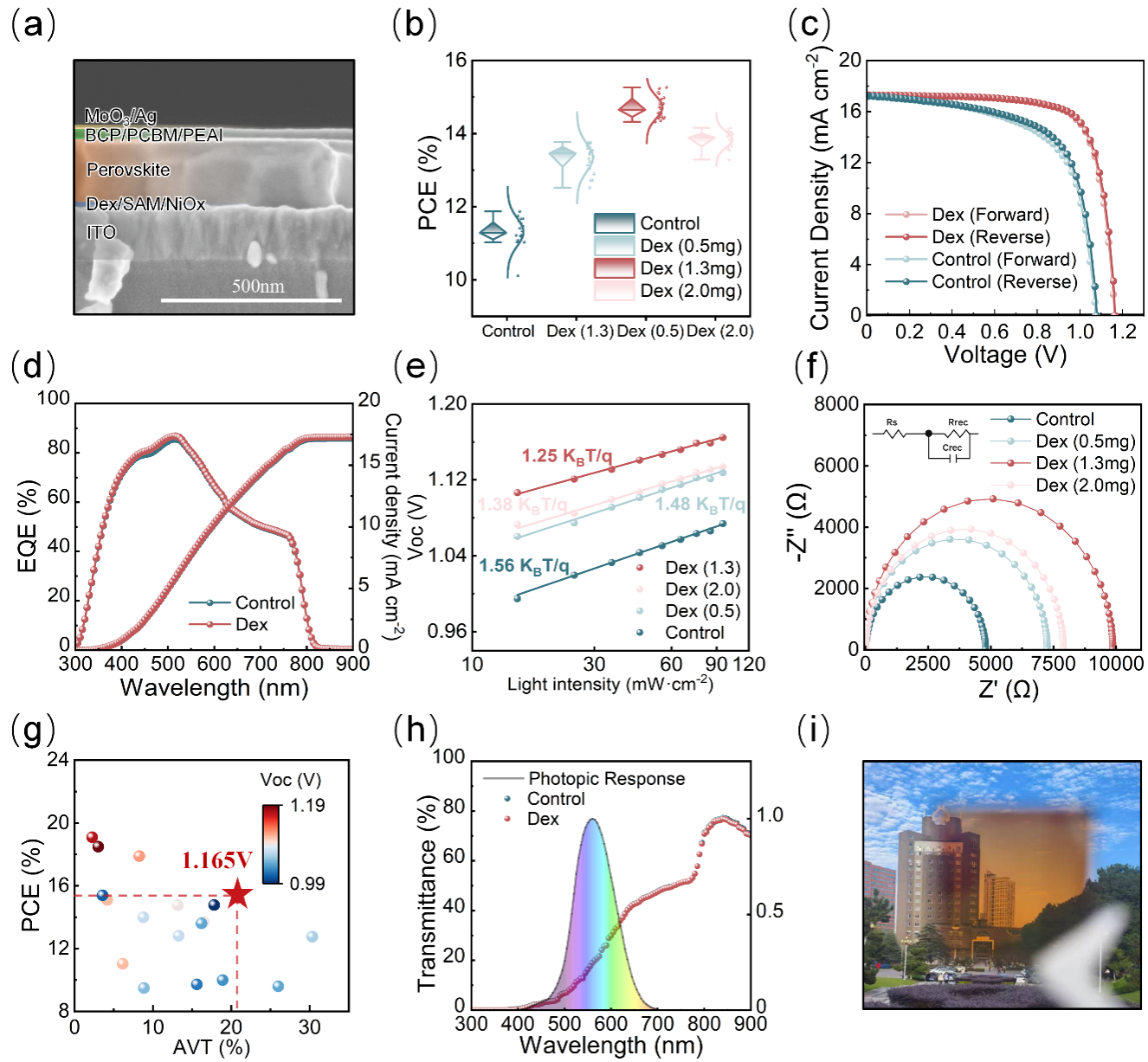 中国科大发展半透明钙钛矿太阳能电池高效界面调控与热管理新方法