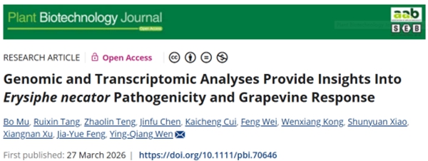 西北农林科技大学（836）园艺学院葡萄种质资源与遗传育种研究团队文颖强课题组揭示葡萄与白粉菌互作的分子机制