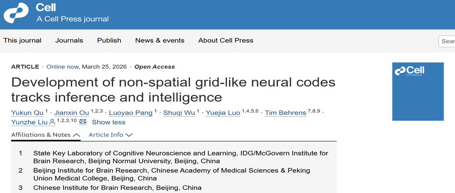 北京师范大学柳昀哲课题组在《细胞》发文：揭示内嗅皮层—类网格编码发育支撑抽象推理能力跃迁的神经机制