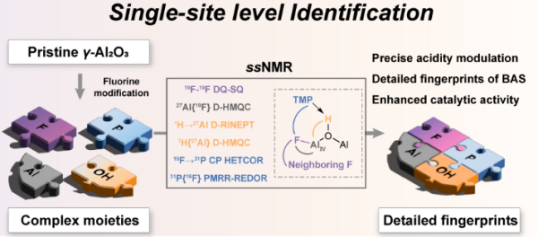 氟化氧化铝表面酸位点精准解析研究取得进展