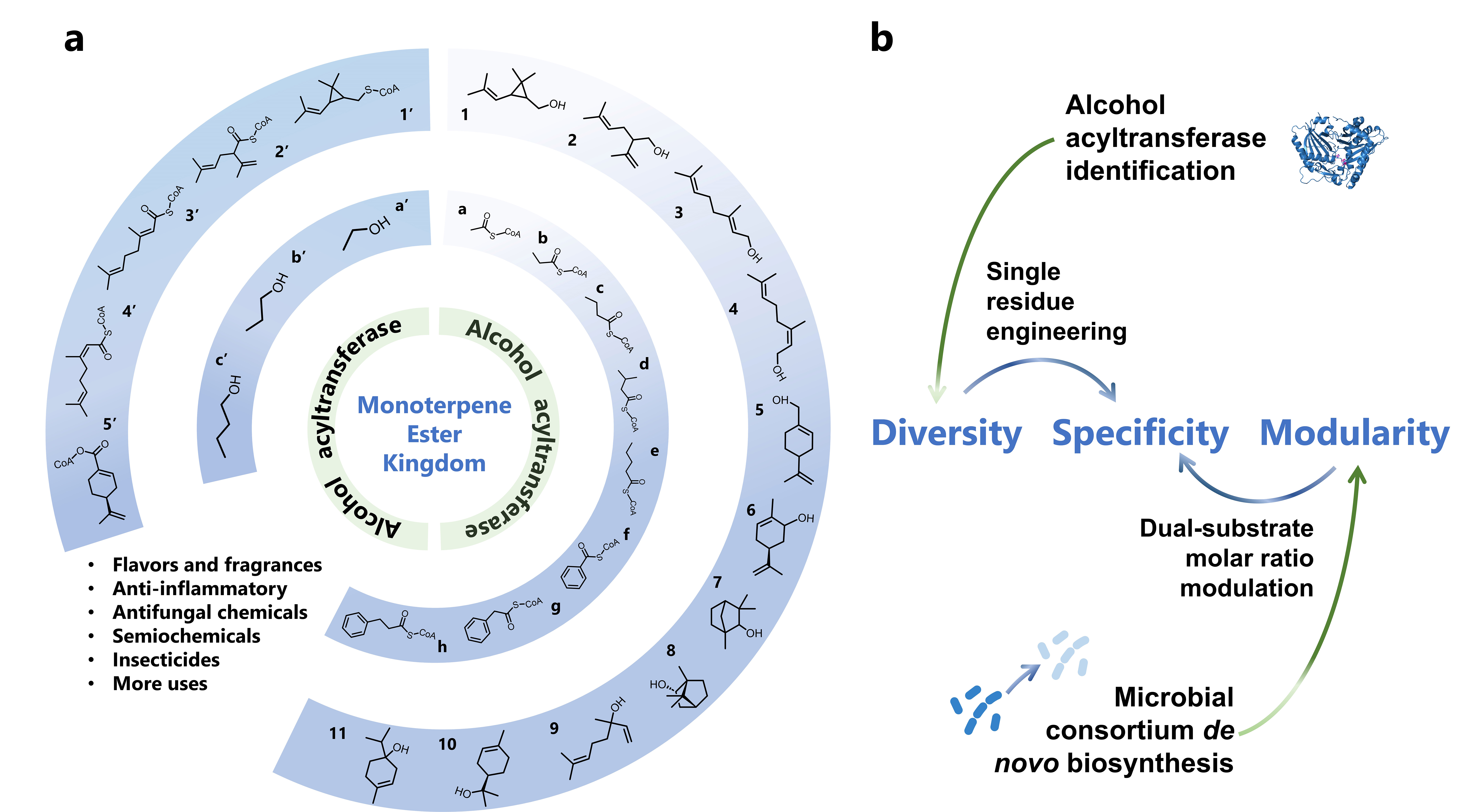 上海交大农生学院马晓强研究组开发微生物单萜酯生物合成平台