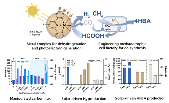 西安交大费强团队在光驱动甲烷与CO2生物制造研究领域取得新进展