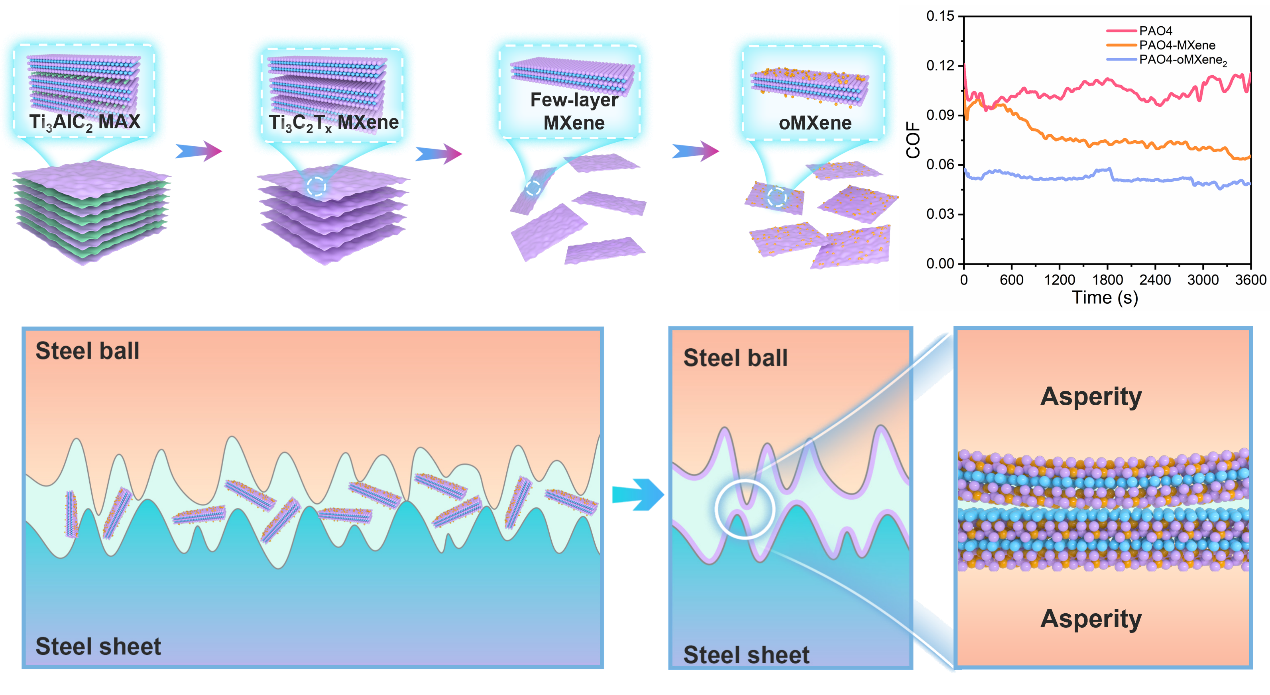 西安交大董光能团队联合郗凯教授在摩擦化学领域取得进展