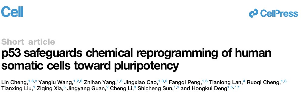 北京大学生命科学学院邓宏魁团队发现化学重编程中p53的关键保护作用，为安全可控制备人多能干细胞提供新路径