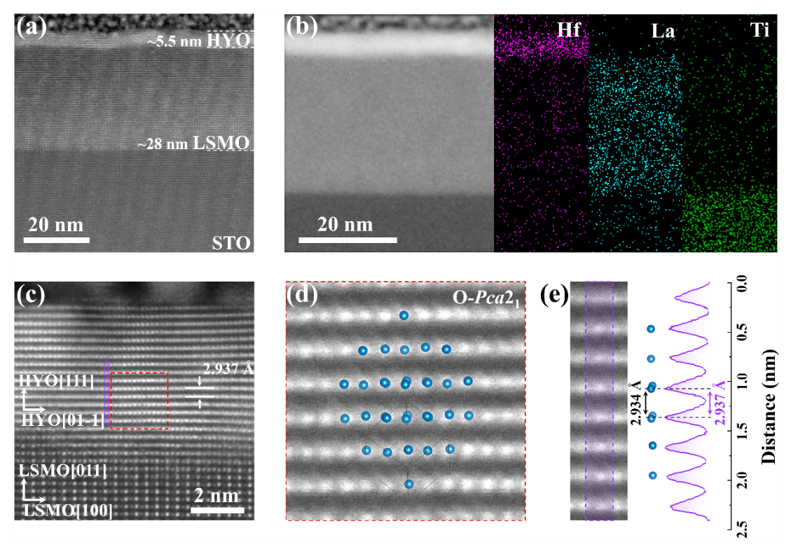 西安交大任巍教授、牛刚教授团队 在外延氧化铪铁电隧道结神经形态器件研究方面取得新进展