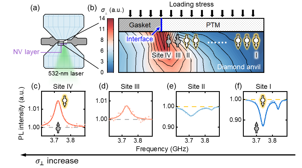 纳米尺度“拧”转自旋:中国科大发展应变工程调控自旋极化新方法
