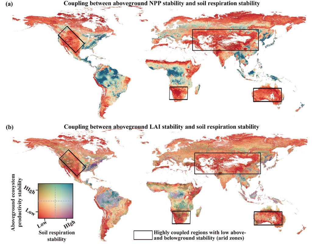 西安交大吴一平教授团队 首次在全球尺度揭示地上与地下生态系统稳定性耦合关系