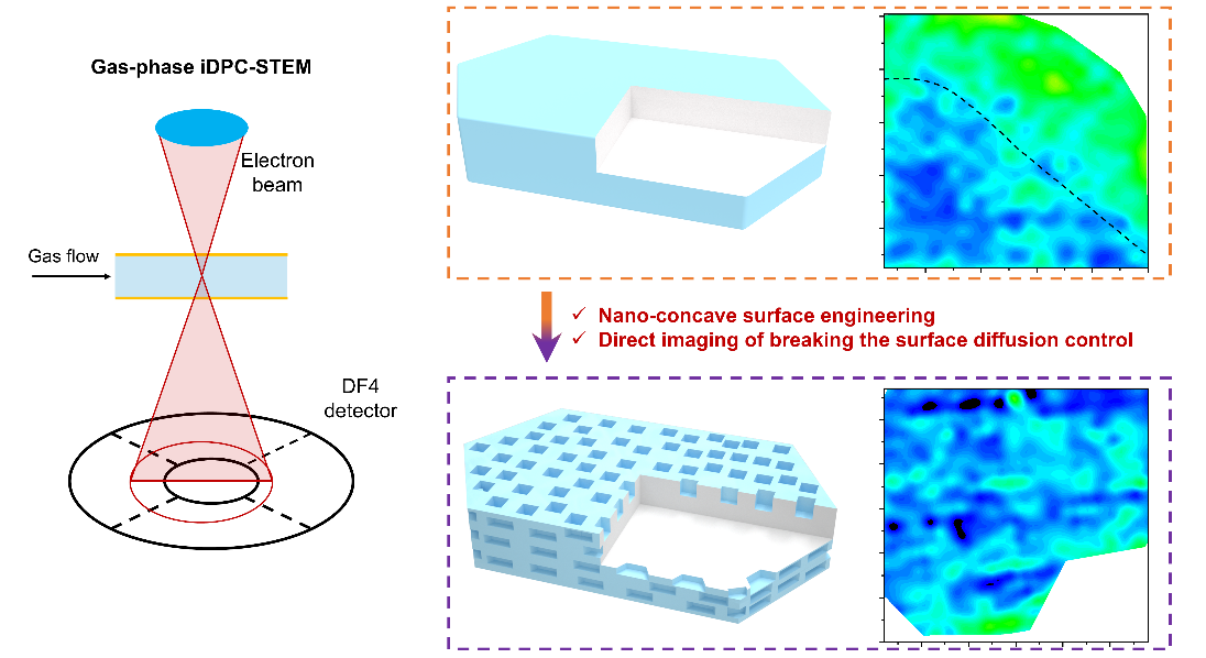 清华大学化工系魏飞、陈晓团队揭示分子筛表面纳米凹陷促进传质新机制