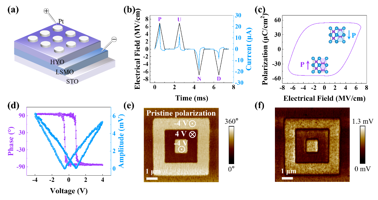 西安交大任巍教授、牛刚教授团队 在外延氧化铪铁电隧道结神经形态器件研究方面取得新进展