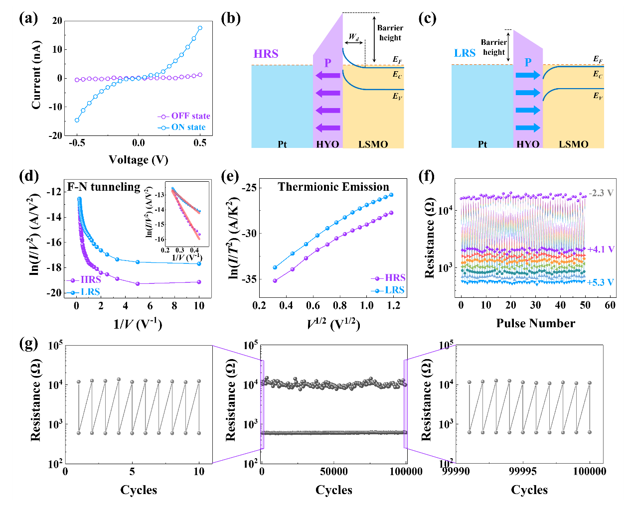 西安交大任巍教授、牛刚教授团队 在外延氧化铪铁电隧道结神经形态器件研究方面取得新进展