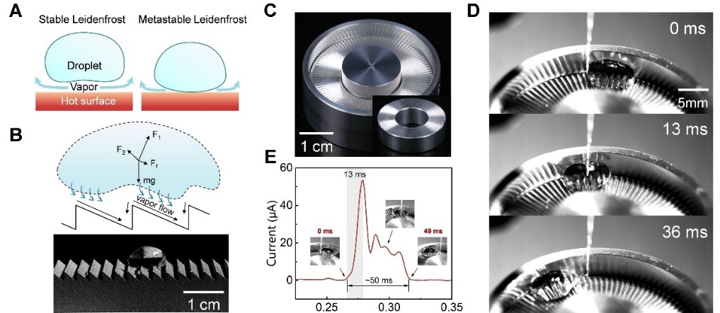 清华大学北京清华长庚医院李舟团队合作在界面能量转换研究领域取得新进展