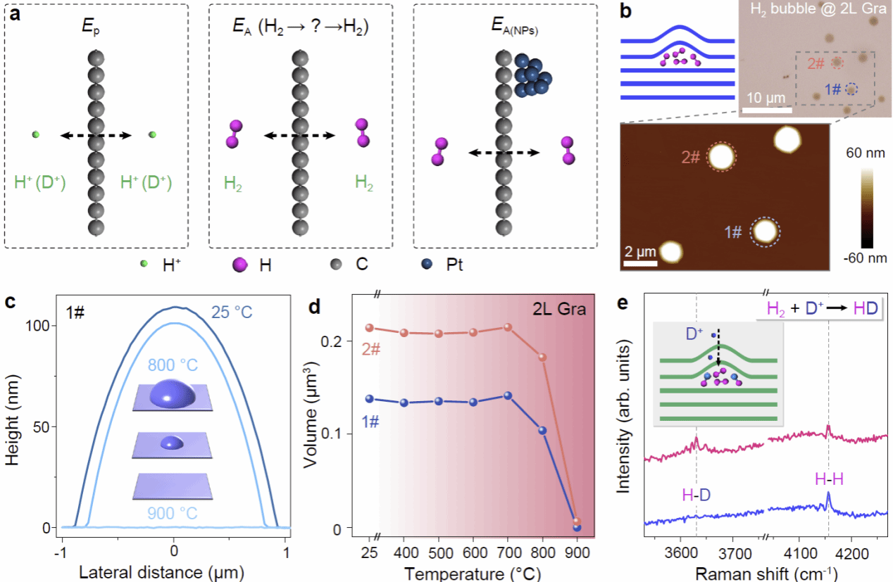 南京大学物理学院高力波、袁国文团队在二维晶体催化渗透氢气领域取得突破