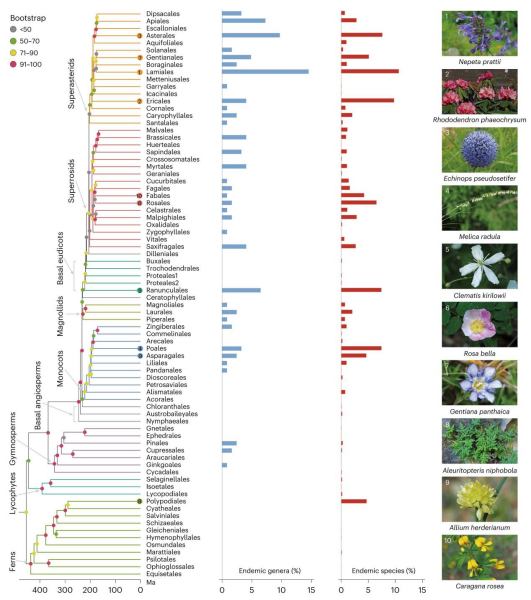 科学家发现一个新的全球生物多样性热点