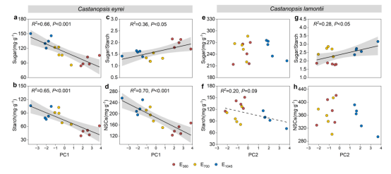 研究发现亚热带常绿阔叶林优势树种防御策略的种间差异性