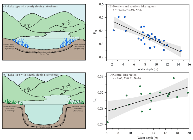 研究发现湖泊水下地形对正构烷烃与水位关系的调控作用