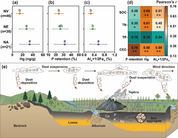 研究揭示火山灰输入对中国东北黑土的影响机制