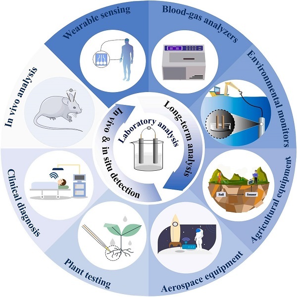 聚合物膜电位型离子传感器长期应用研究获进展