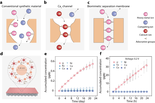 研究开发出关键金属绿色提取新方法