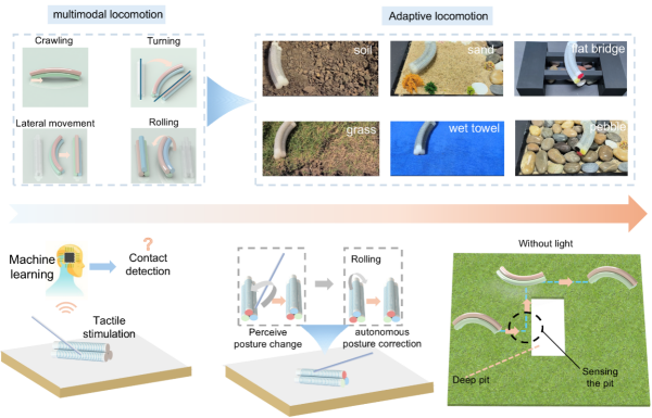 科研人员研制出双螺旋纤维增强的自感知人工肌肉